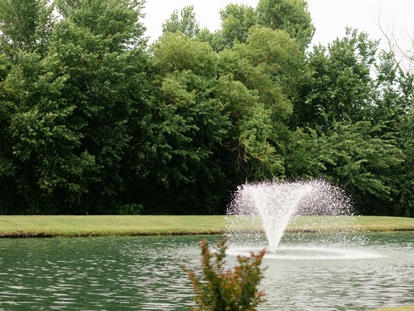 Auburn Meadows neighborhood pond with fountain